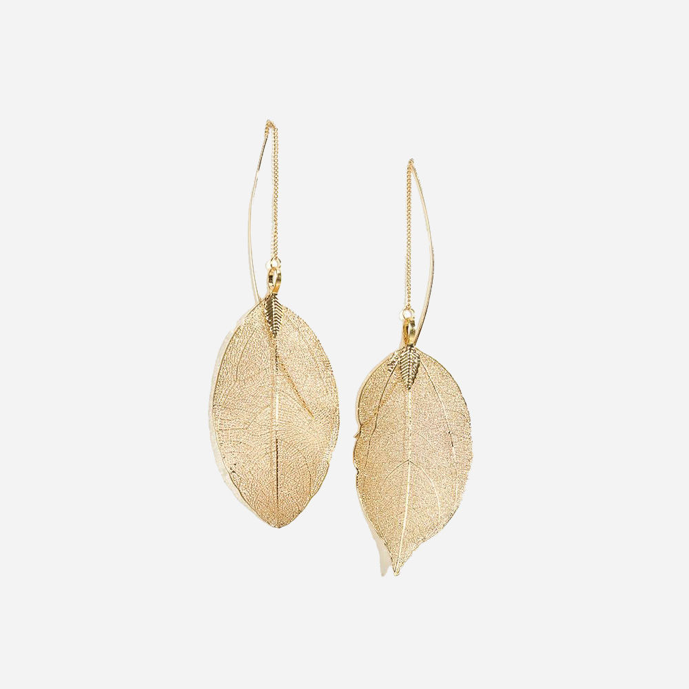 Radiant Sunrise Wisteria